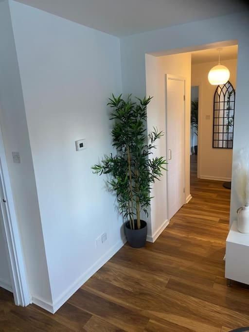 Perfectly Situated Luxury 2 Bedroom Apartment Γλασκώβη Εξωτερικό φωτογραφία
